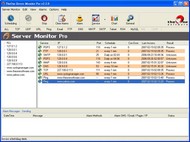 TheOne Server Monitor Pro screenshot